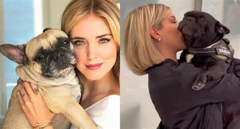 È morta Matilda, la cagnolina di Chiara Ferragni  .